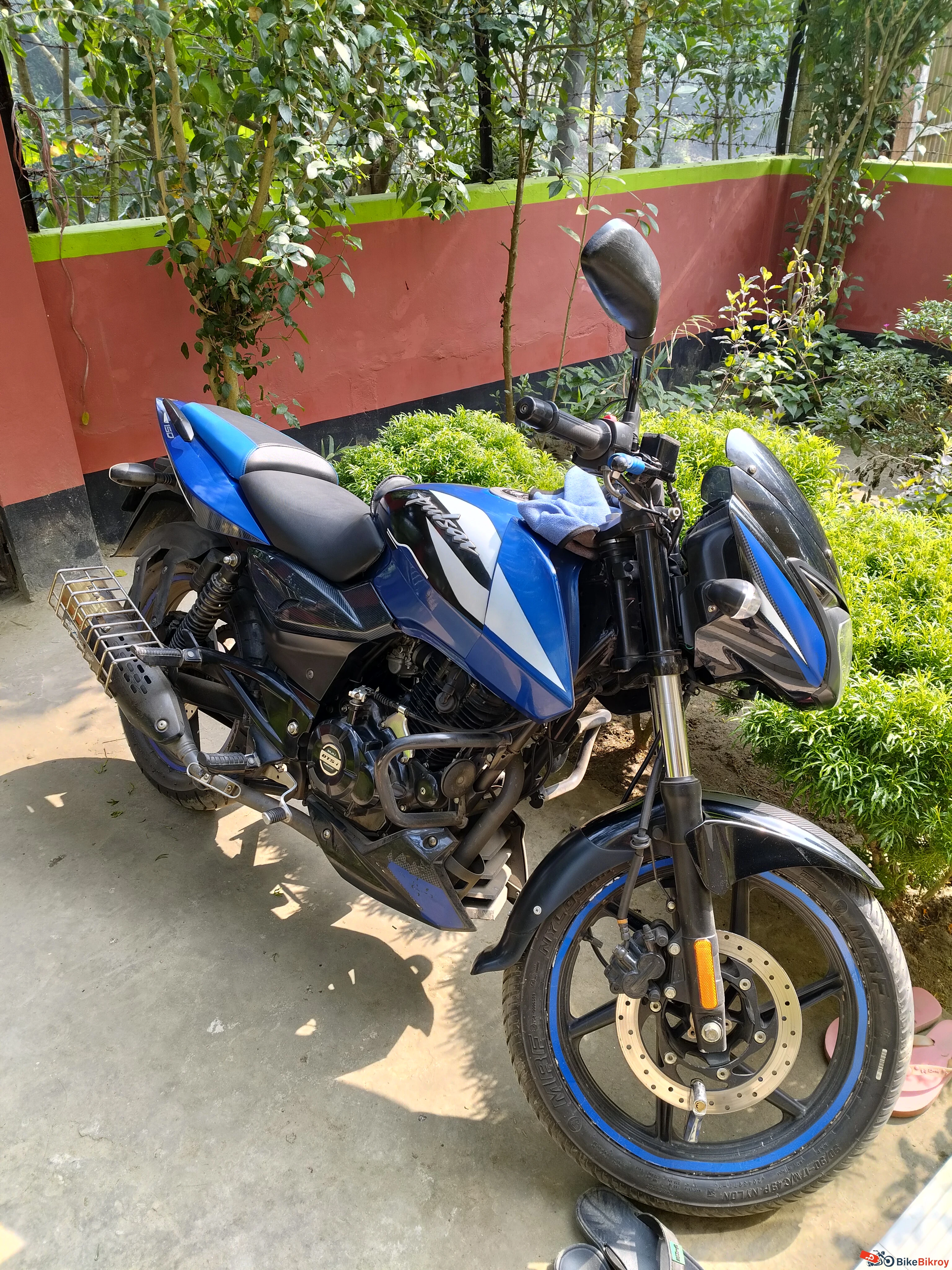 Pulsar DD Matt Blue