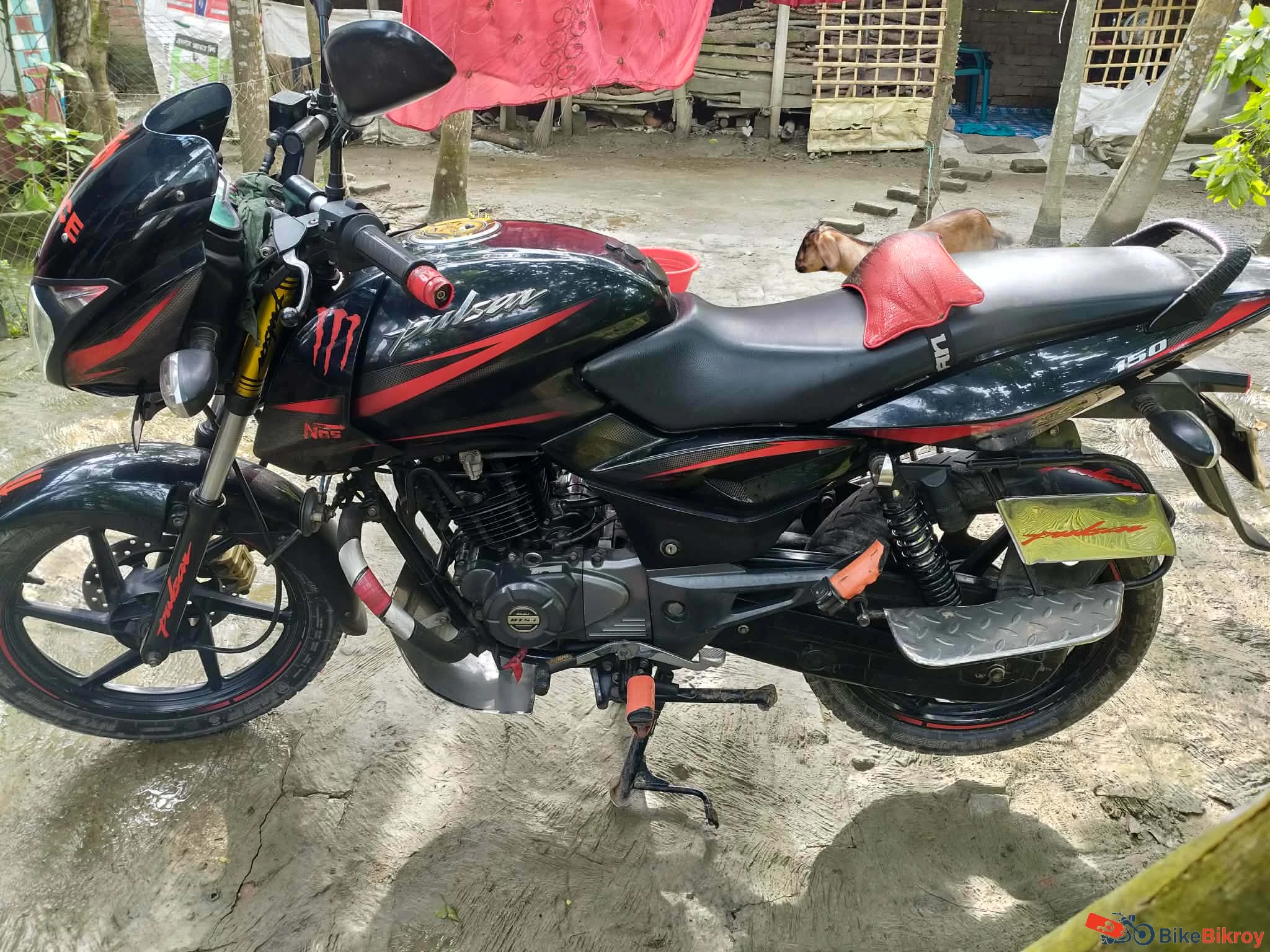 Bajaj Pulser 150cc SD
