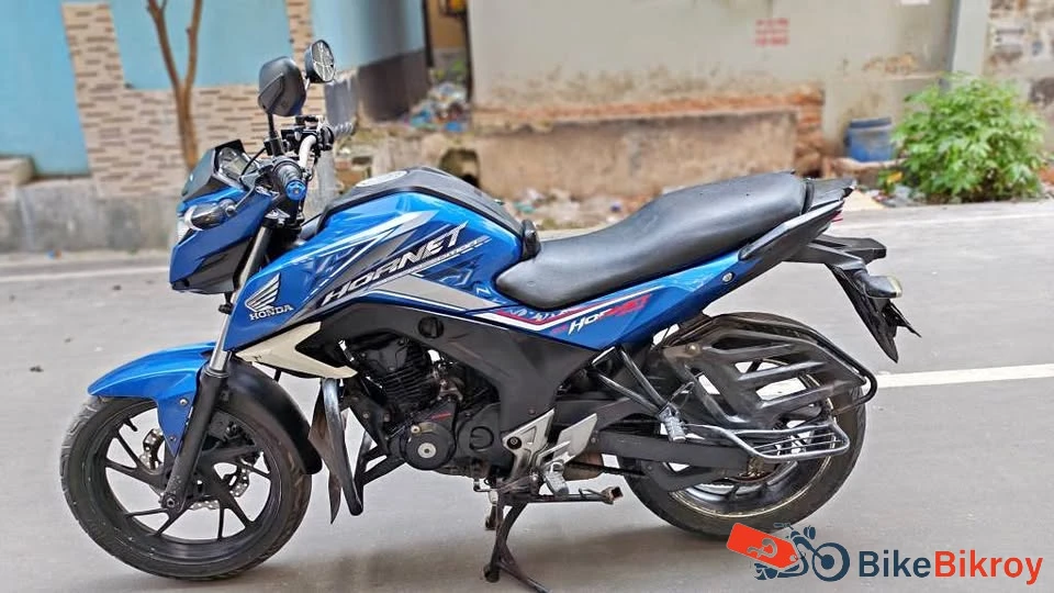 Honda hornet